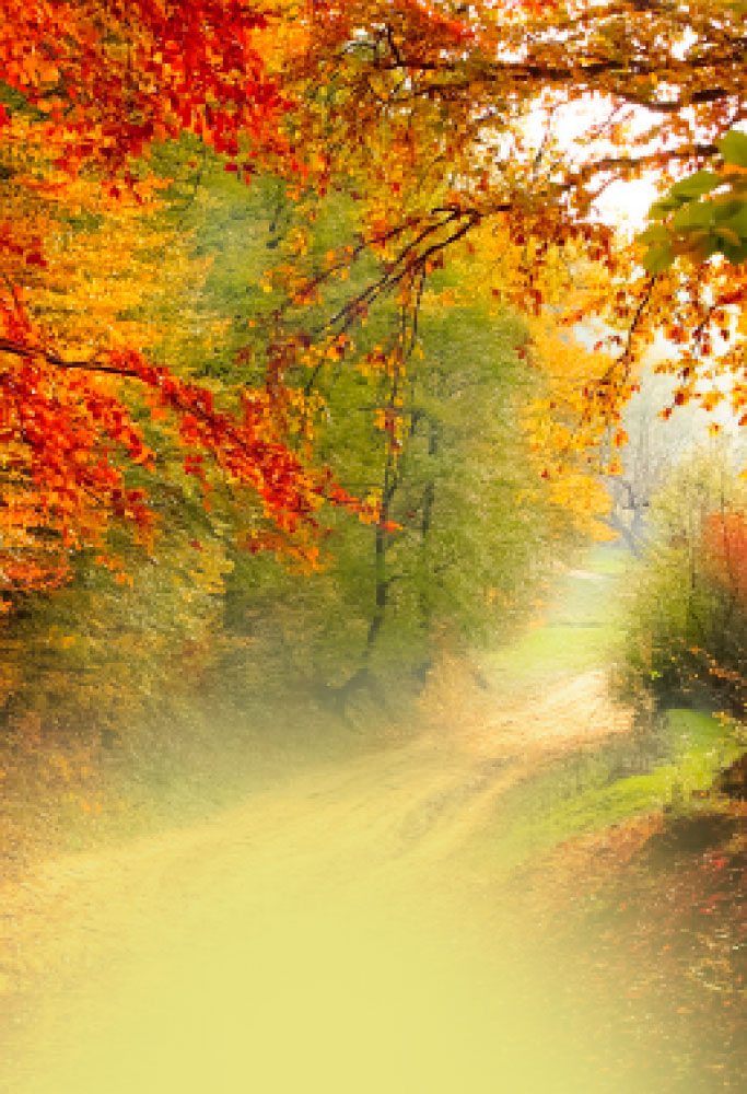 L.E. Aula 111 — Estado de natureza