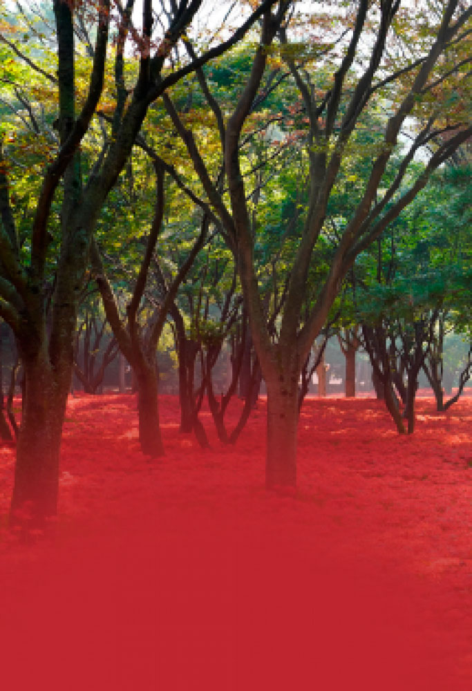 L.E. Aula 140 — As paixões