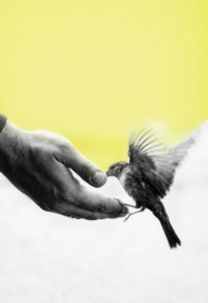 Liberdade e livre arbítrio