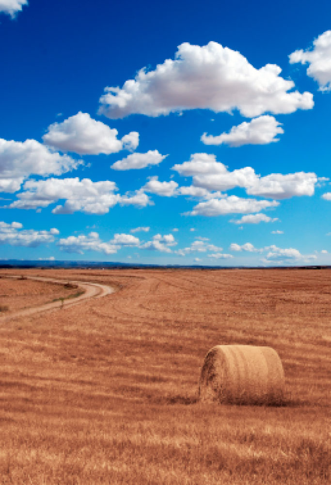 L.E. Aula 98 — Gozos dos bens terrenos