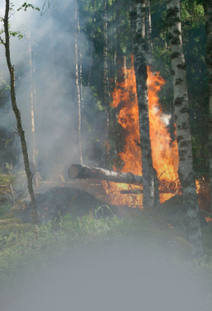 L.E. Aula 101 — Destruição necessária e destruição abusiva